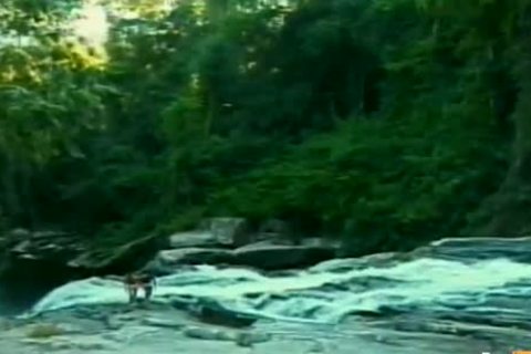 boyz In Action - Scene three - Gentlemens video