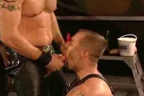 MARC WILLIAMS & TWO kinky MUSCLEstuds