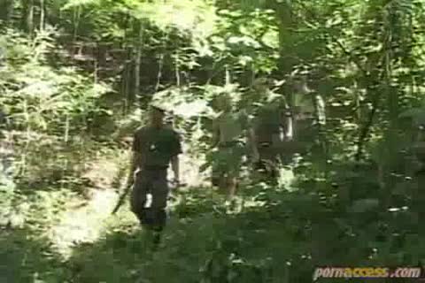 Jungle joy