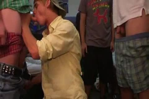 College twinks sucking And banging