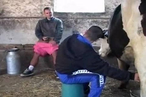 Great In The Barn slamming homosexual Style