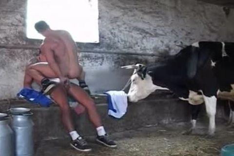Great In The Barn slamming homosexual Style