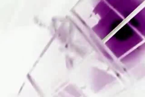 Exotic Sex Part 1 Or 2
