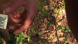 Tatted-up dude pulls down his jeans and bonks outdoors