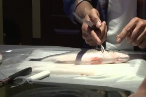 Jaxton Wheeler And Rodney Steele (AOI P1)