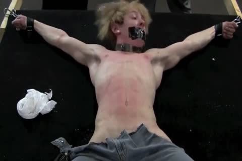 Joshua Punk Part Two