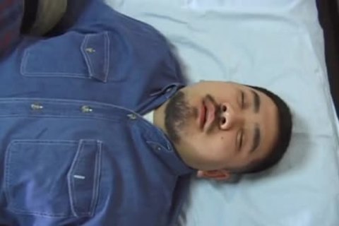 (Japanese)(Samson) - bushy bulky Bear And His Companion