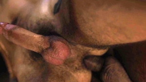 IconMale.com - Bareback nailing amongst piercing american bear