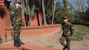 MilitaryDick: Medium Height Soldiers Go Deep
