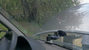 Dick Rides: Fancy Foreigners Fumble in Ford Focus