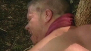 Falcon Studios: In the Mouths of Law and Disorder