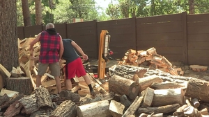 Family Dick: A Threesome as Wild as the Woods