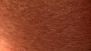 Debt Dandy: A Rural Affair: From Drywall to Dirty Deal