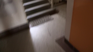 Debt Dandy: Busted and Broke