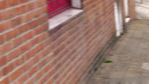 Latin Leche: Skinny Legs and Beautiful Eyes