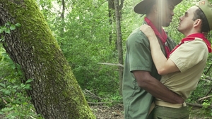 Manly Musings in the Morning Woods